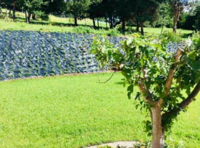 Vendvidéki Pihenőházak Appartamento *