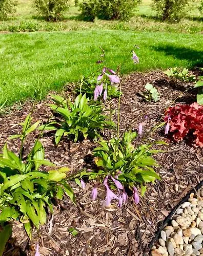 Appartamento Vendvidéki Pihenőházak